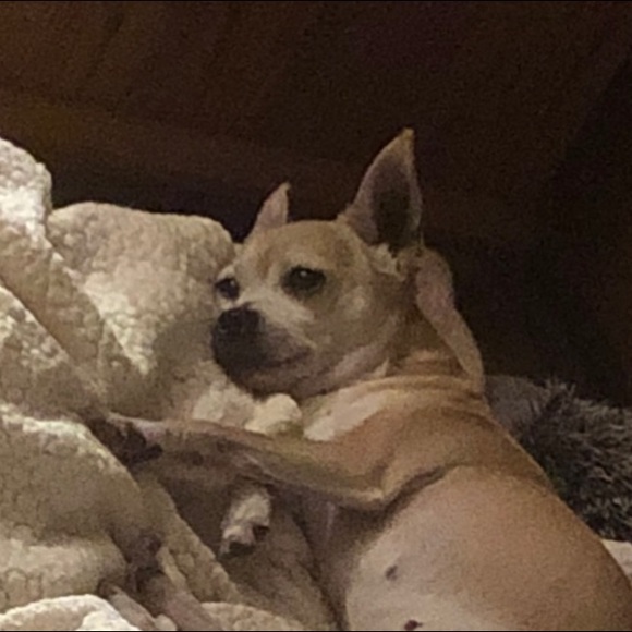 Meet your Posher, Lisa - Picture 2 of 7